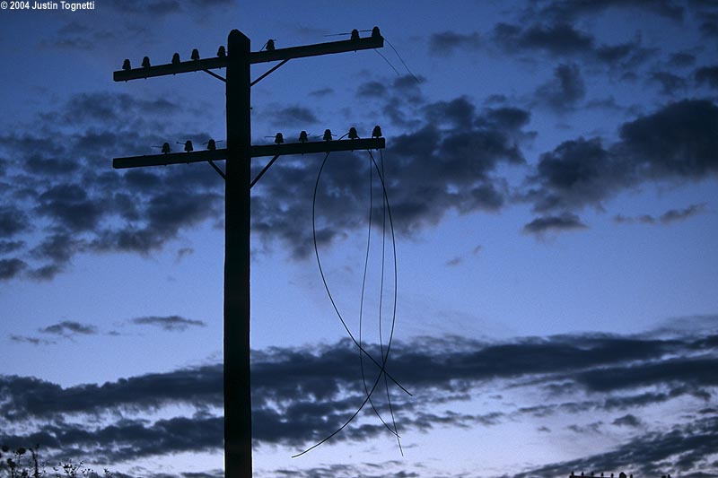 collier_codeline_twilight