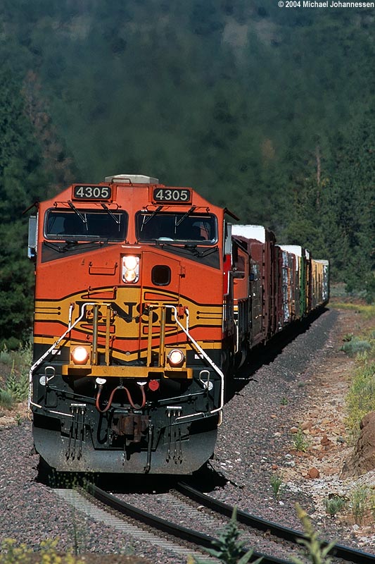 bnsf4305