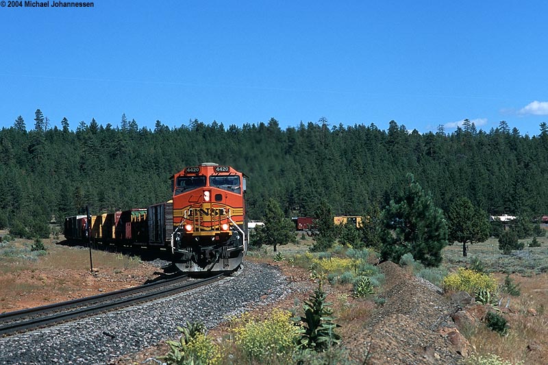 bnsf4420