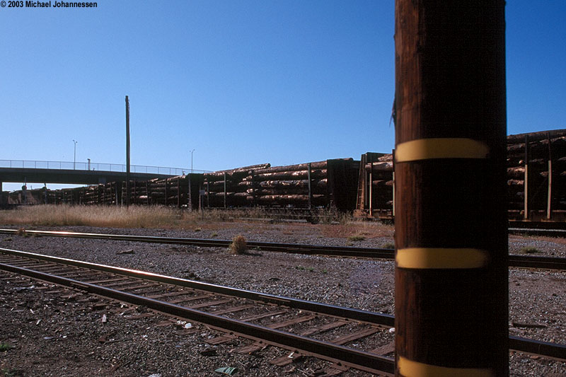 logs